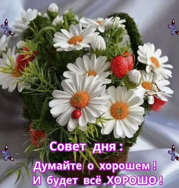 IMG 20220604 094622