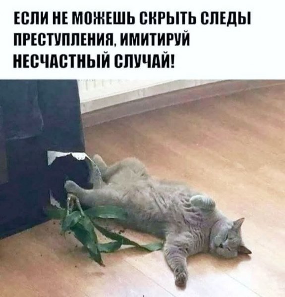 FB IMG 1777488966105