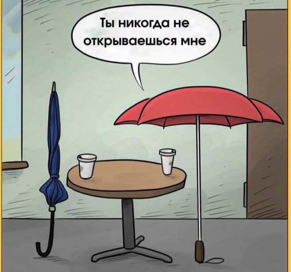 FB IMG 1779989173173