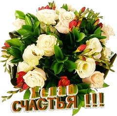 4e571ec3815fc81cc571fcadf1812d6f