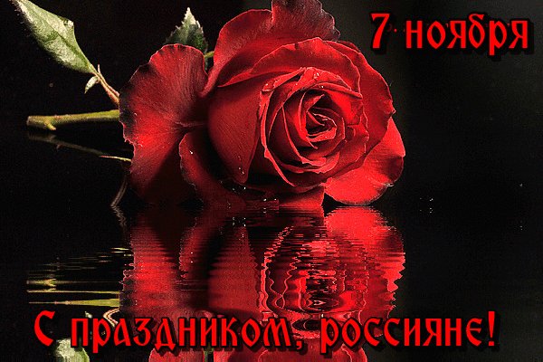 Анимированная открытка 7 ноября с праздником (1)