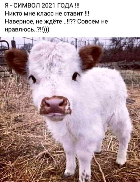 FB IMG 16074761879124981