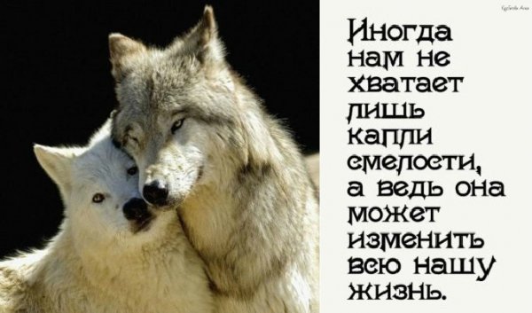 image (22)