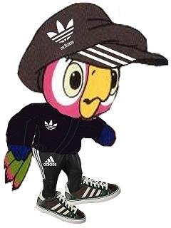 Попугай Кеша Адидас