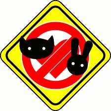 sambakza-there-she-is-part5