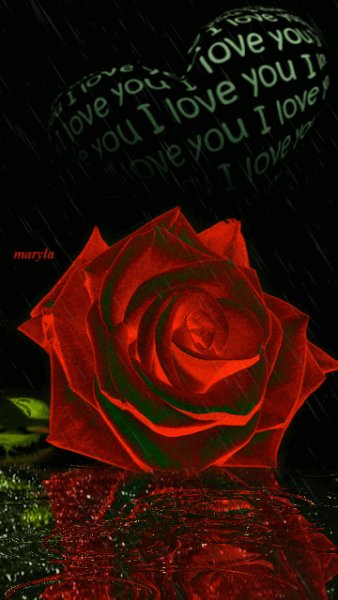 I Love You Heart And Rose Gif