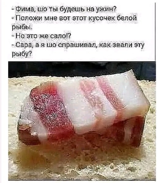 file_103156821