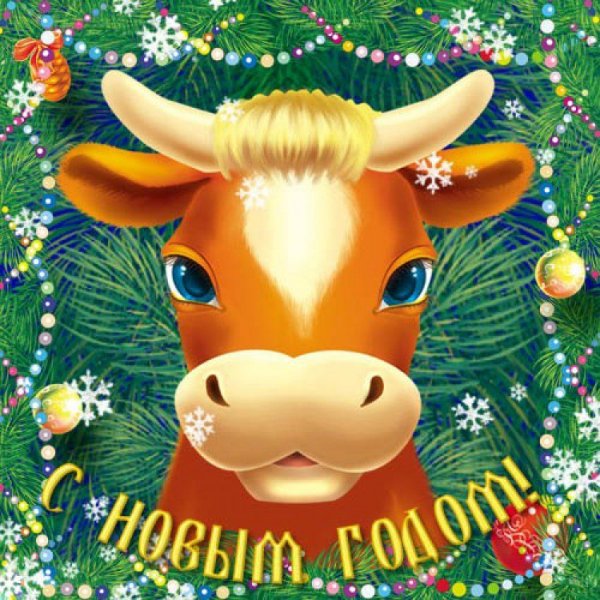 e7947d163f786b178ef3d14e4eadfb52