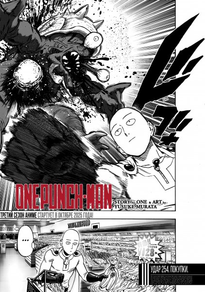 OnePunch-Man v34 ch254