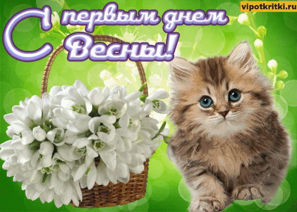 С первым днём весны!