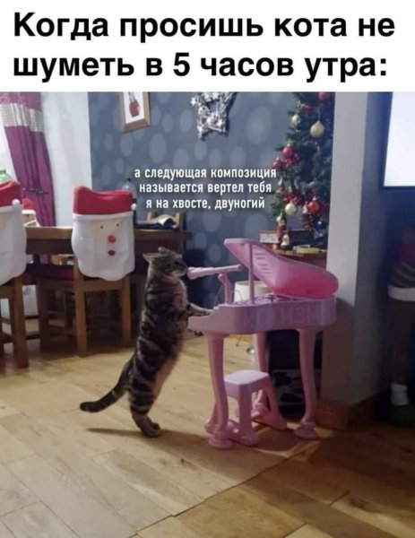 file_84046520