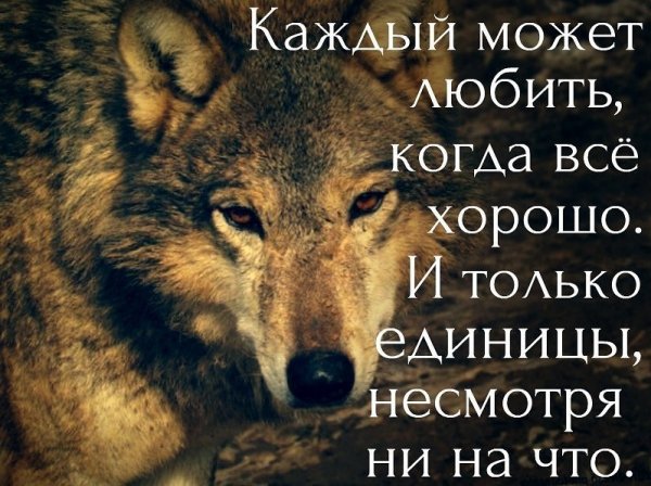 Совесть
