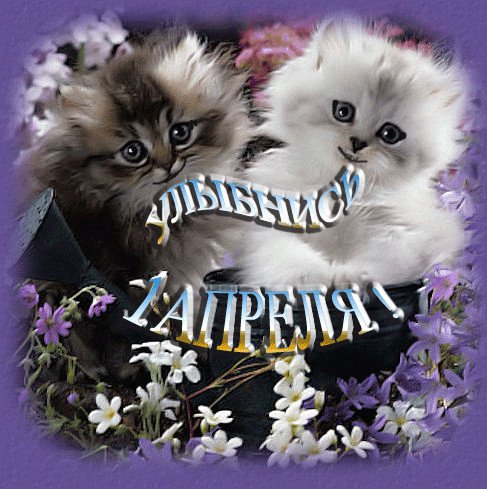 image (16)