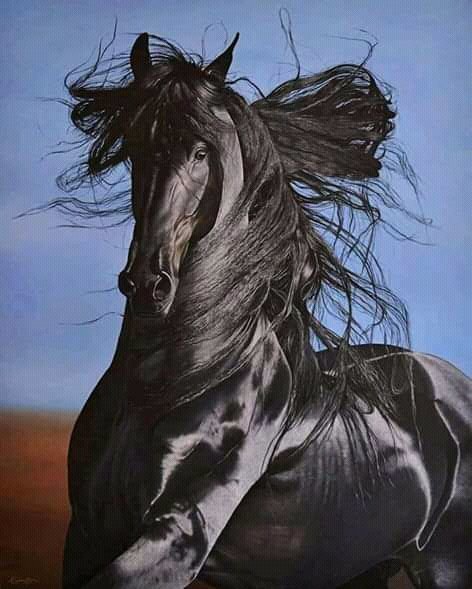 FB IMG 15997615118330472