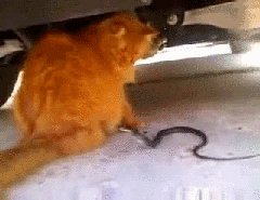 Без права на ошибку