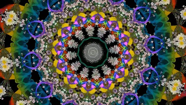 0 effe2 2a59f7d3 orig