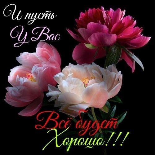 6sk7E0bYSYs
