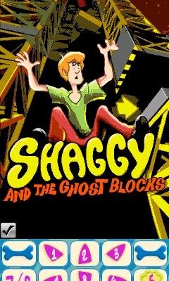 Shaggy and the Ghost Blocks