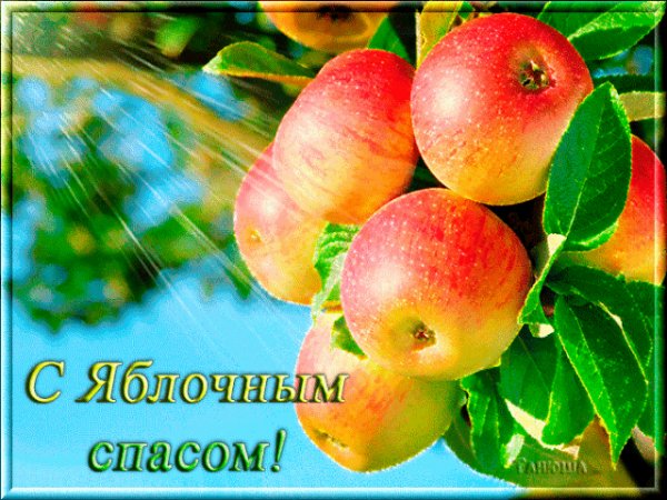 file_94326043