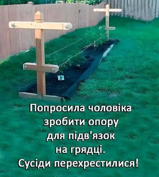 file_102724636