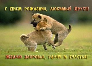 С днем рождения любимый друг