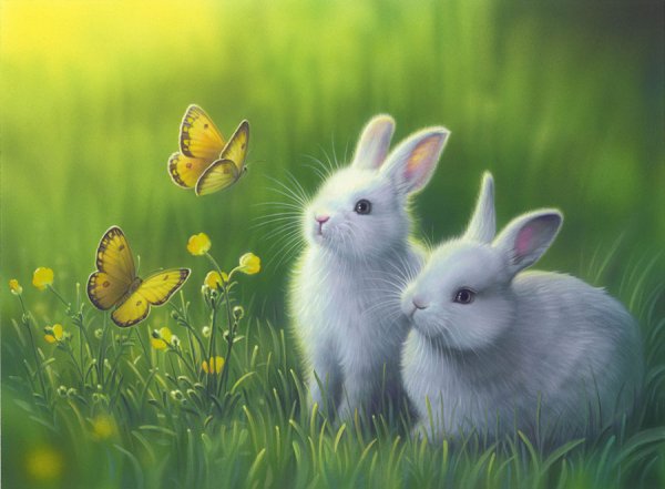 rabbits and butterflies