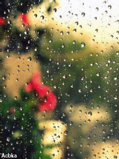file_58499912