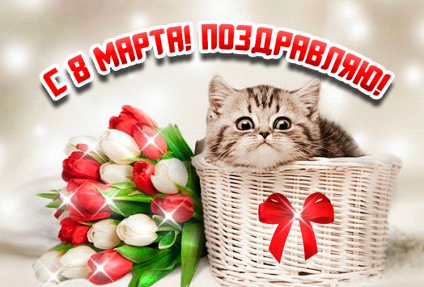 С 8 марта поздравляю