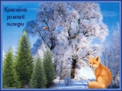 Красивой погоды