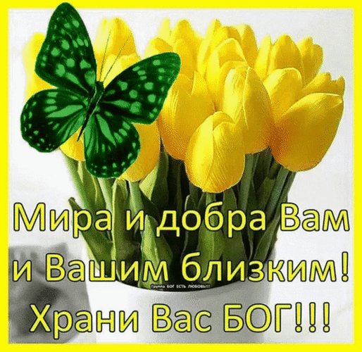 Анимированная открытка мира и добра (1)