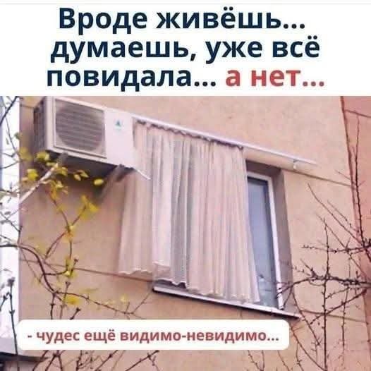 FB IMG 1778093128767