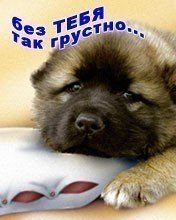 Без тебя так грустно
