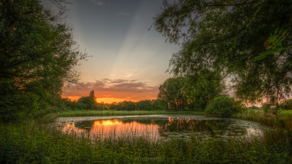 Priroda-rassvet-prud-zelen