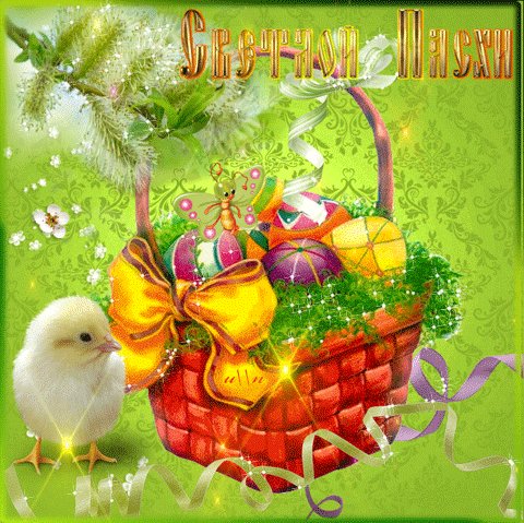 file_84183668
