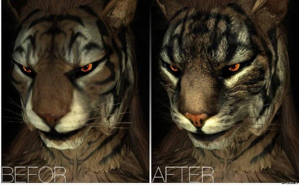 TES-GAME.RU coverkhajiits