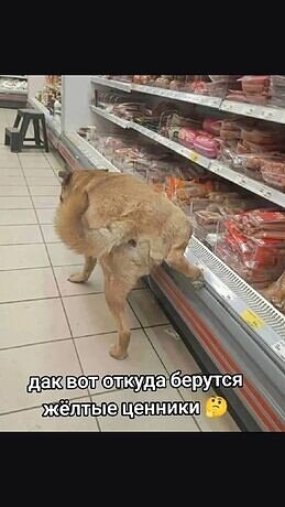 I - 2026-04-28T172803.971