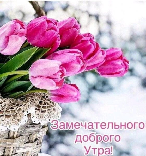 IMG 20190505 075349