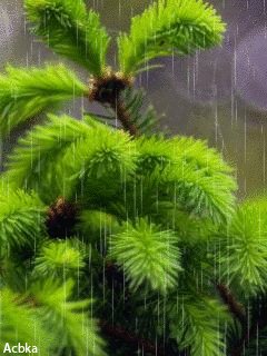 file_50112554