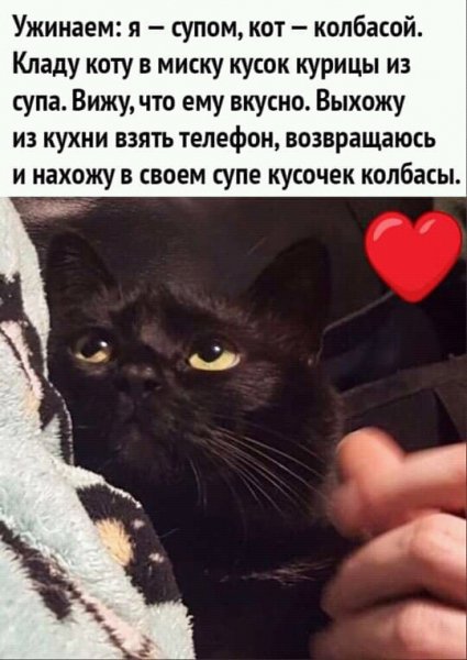 FB IMG 16176187880055494