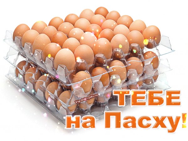 B0f475750e0a5615373fa8b4d406432e