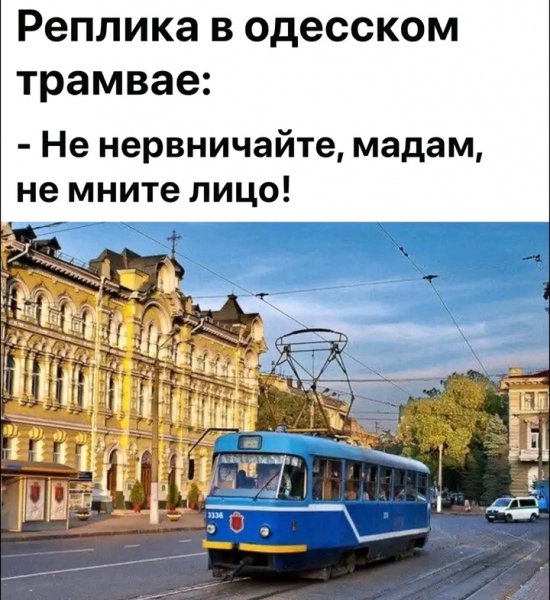 file_103231833