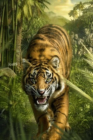 file_50532116