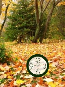 Autumn