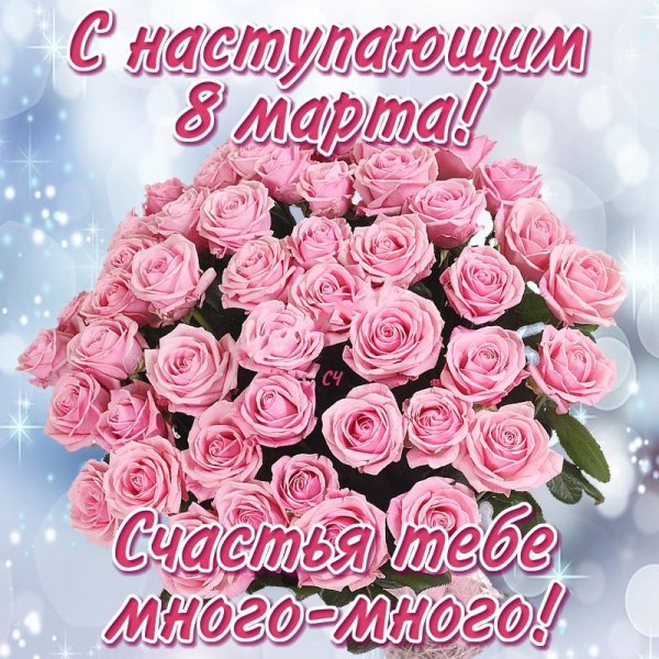 file_80825245