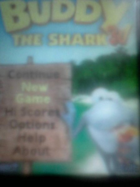 Buddy the shark 3D 176