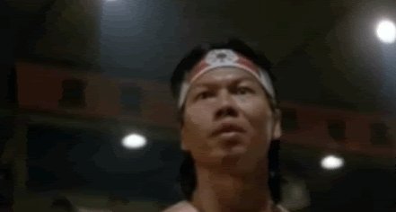 гифки-котэ-живность-3094806