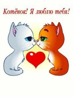 А6.ae9f9e0195094ad84637447330afe912