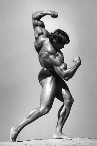 Schwarzenegger-FEJJ o tn