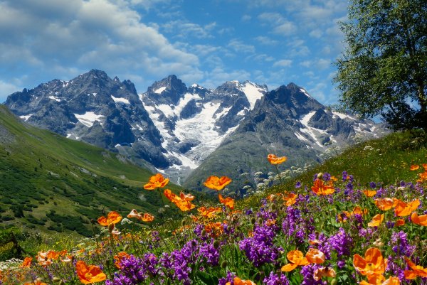 Dauphine-alps-france-alpy-dofine-alpy-gory-lug-tsvety-maki