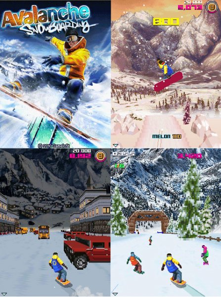 Avalanche Snowboarding